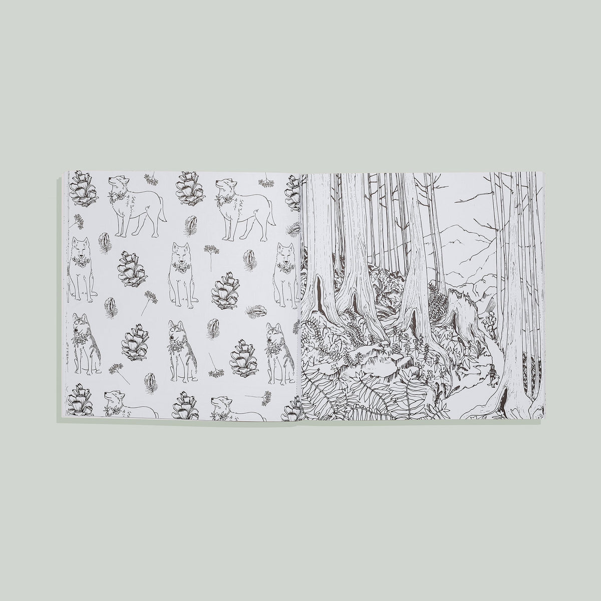Plant Lady: A Coloring Book