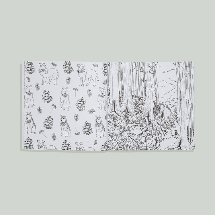 Plant Lady: A Coloring Book