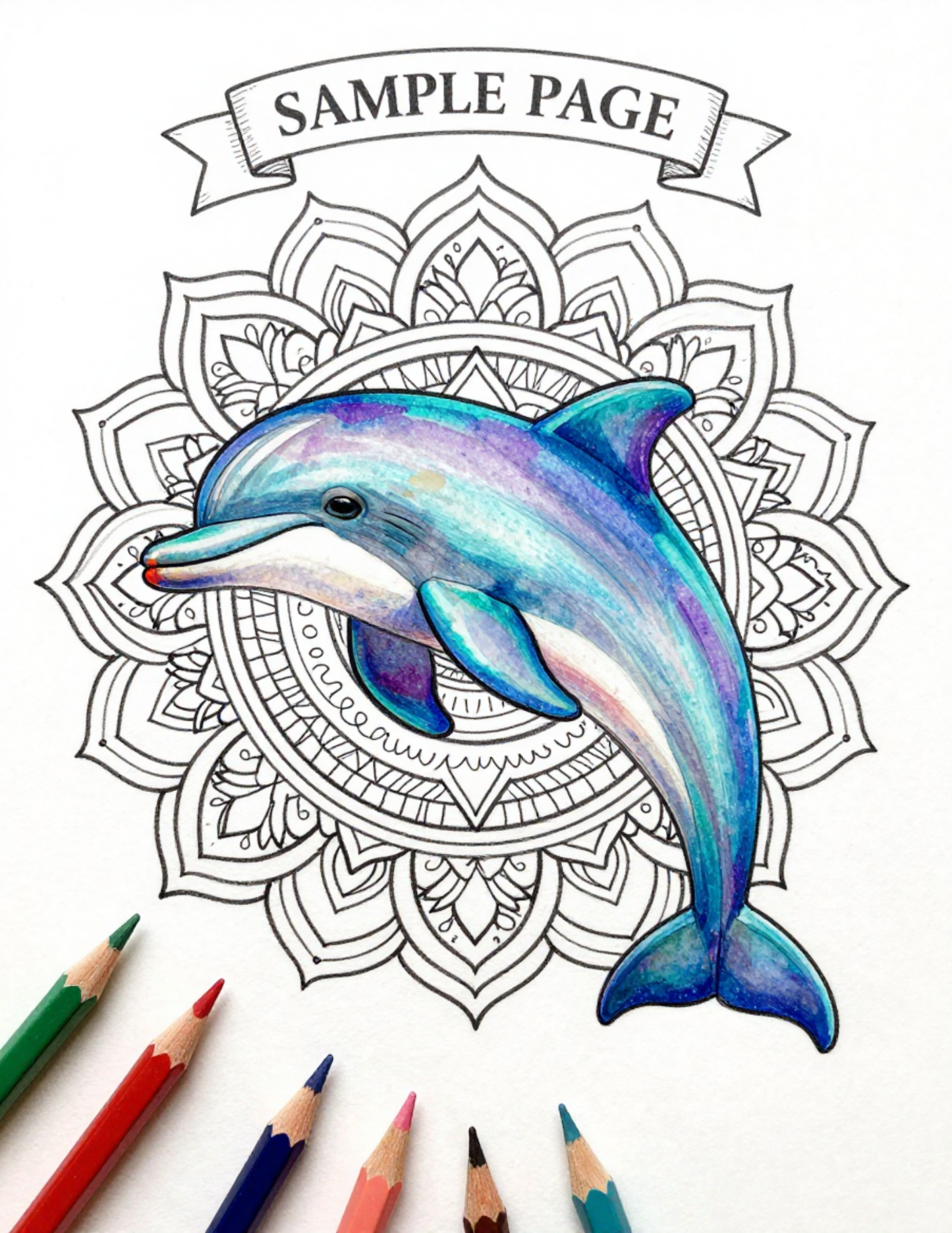 Dolphin Coloring Book for Adults