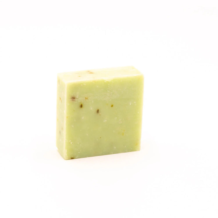 Tide & Bloom Sea Salt Body Wash Bar